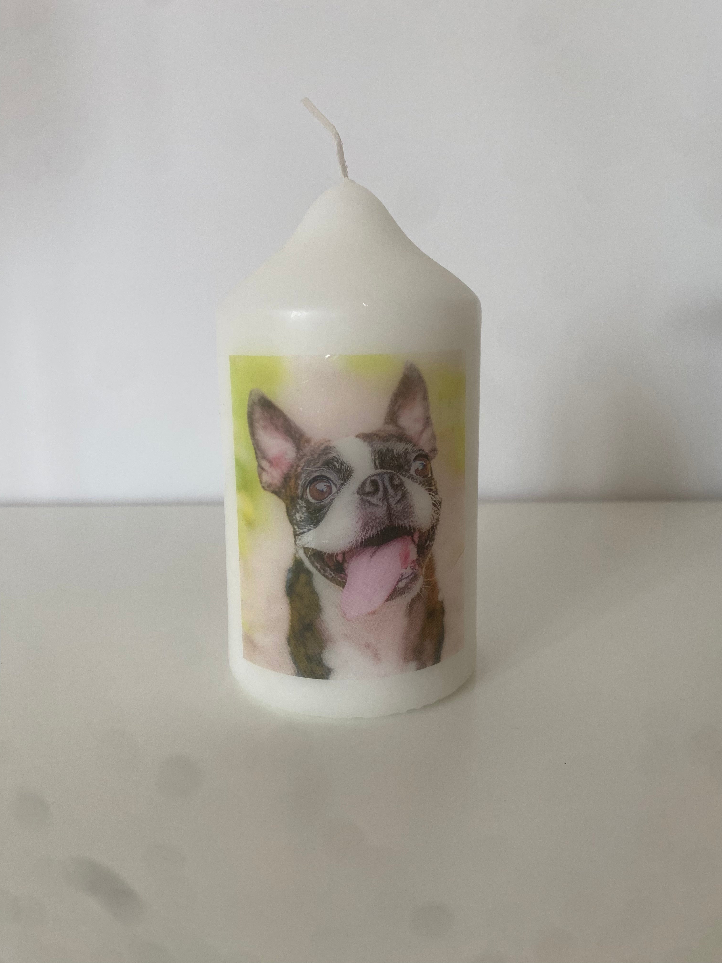 Personalisierte Tierkerze